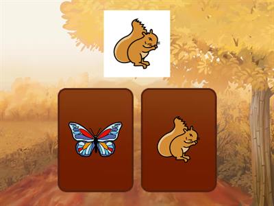 ANIMALS DE LA TARDOR 