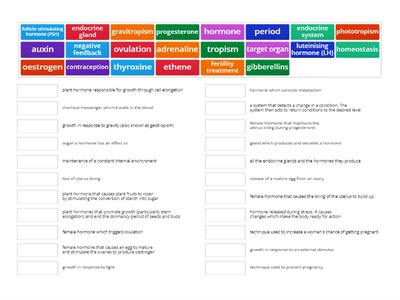 B3.2 The endocrine system 
