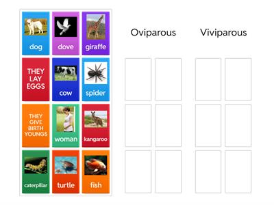Viviparous and Oviparous 