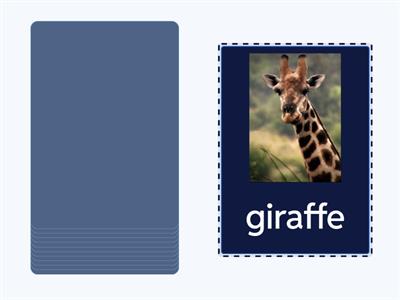 Animals charade, Grade 4 WW4