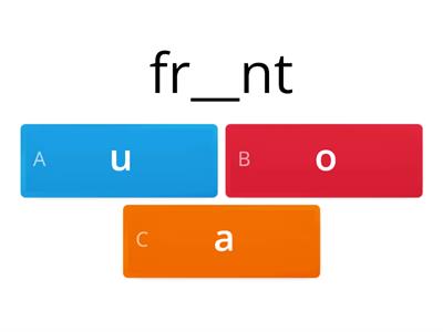 3.8 Sight Words-What is the missing letter?