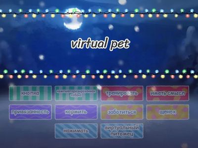 Spotlight 7 Module 5b Virtual Pet