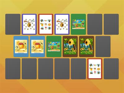 Il fantastico mondo delle api