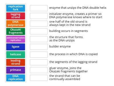 DNA Replication