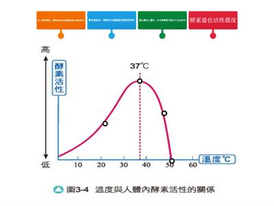 酵素 vs 溫度