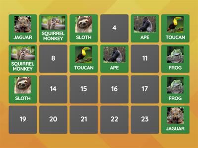 UNITED FOR THE AMAZON RAINFOREST