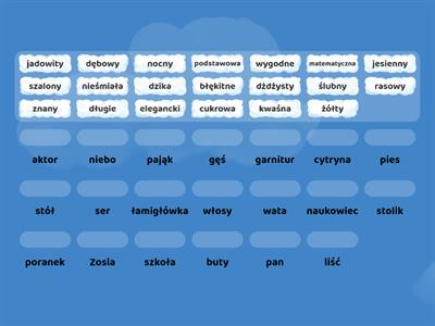Części mowy: przymiotnik i rzeczownik. Dopasuj przymiotnik do rzeczownika.