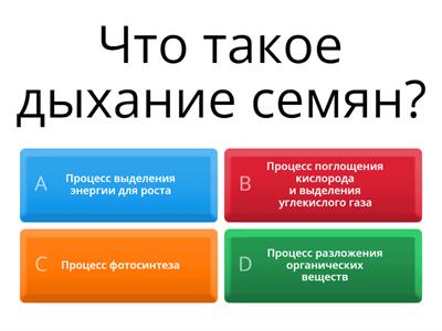 Мозговой штурм