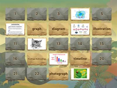 Nonfiction Text Features Matching Pairs