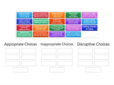 Appropriate, Inappropriate, Disruptive Choices 