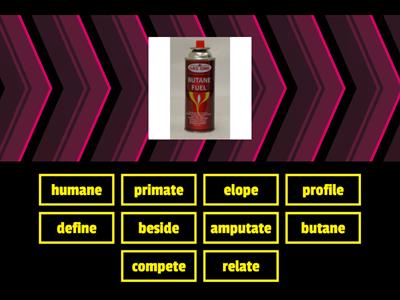 Find the matching picture! Multisyllable silent e syllables, 