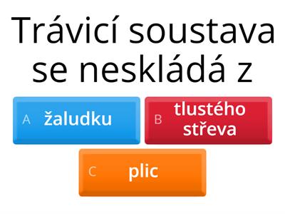 Y8_Trávicí soustava_kvíz