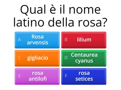 Quiz sulle piante 