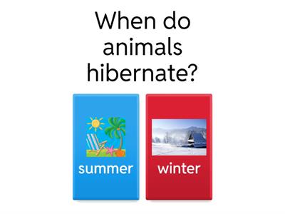 Hibernation 