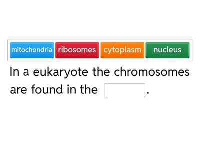 IGCSE Chromosomes and genes