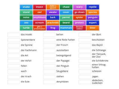 Beyond A2+ Unit 3 Vocabulary (Part 3)