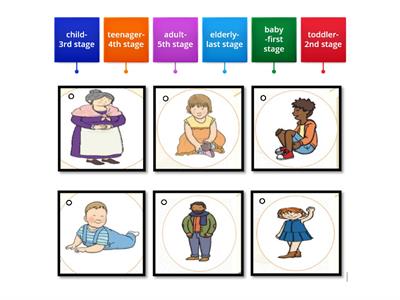 WEEK 11 SCIENCE OPTION B -Arrange the stages of human growth in their correct order. 