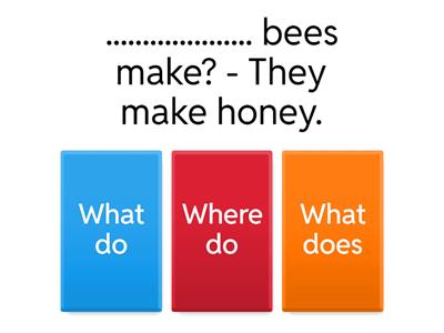 G3 - WH questions + do/does 