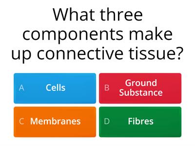 Connective Tissue Quiz