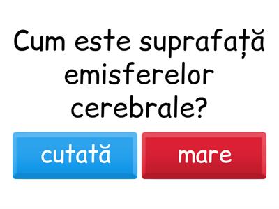 Functii de relatie 7