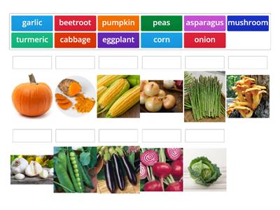 Vegetables. Test