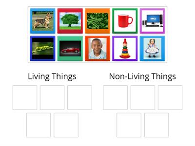 Living and Non-Living Things