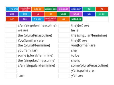 GRAMMATICA..SER and the Definite and Indefinite Articles