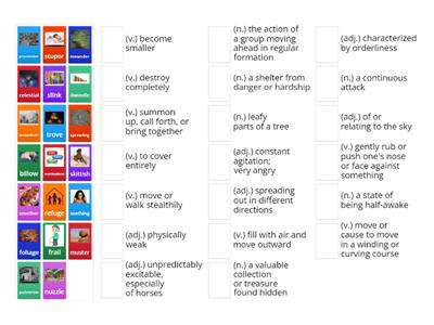 The Wild Robot Vocabulary