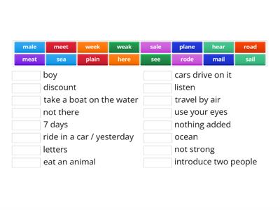 Long Vowel Homonyms