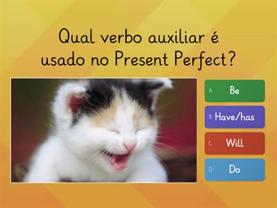 Present Perfect