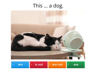 To be - am, is, are (+, -)