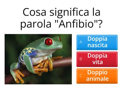 Quiz sugli anfibi