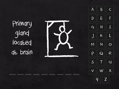 endocrine gland