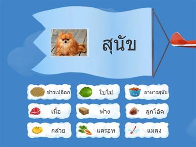  เกมจับคู่ภาพอาหารสัตว์แสนสนุก