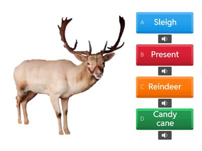  Christmas Quiz