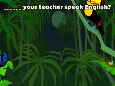 Present Simple Questions