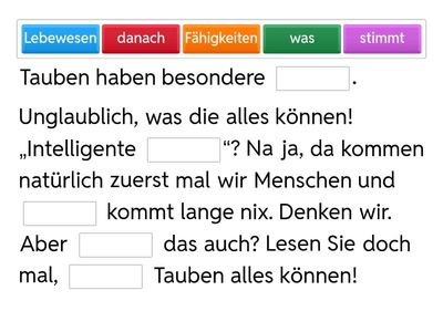 Momente B1.2 Lektion 13 zu LV Tauben