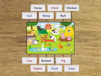 Farm animals