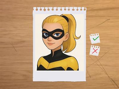 Ladybug and Cat Noir characters