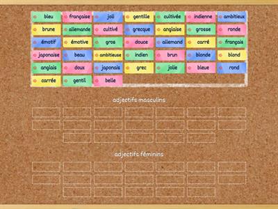 adjectifs masculin/féminin