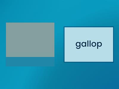 VC/CV Closed Syllables