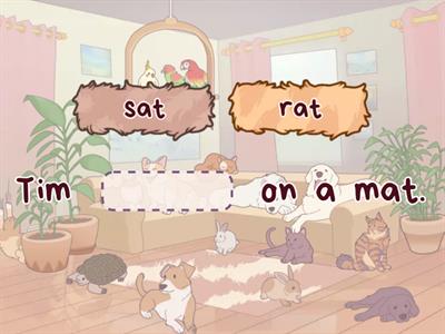 Tim's cat (Sounds write unit 1)