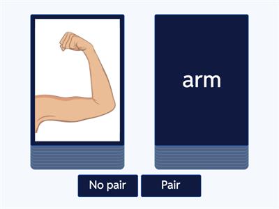 pair/ no pair BODY parts GG1