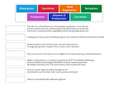 Skin Functions