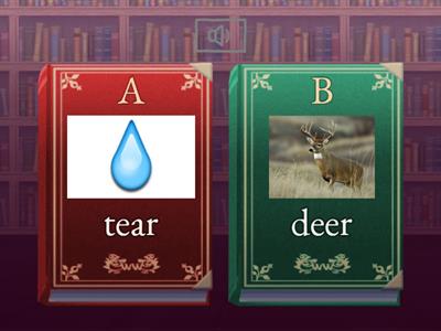 Auditory Discrimination - t/d Minimal Pairs 