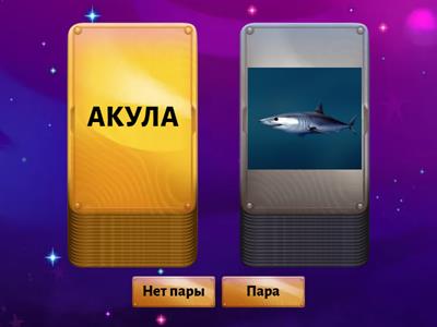 Чтение слов