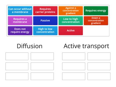 Diffusion vs active transport