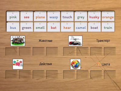 Расставь слова по группам