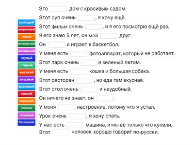 Прилагательные РКИ