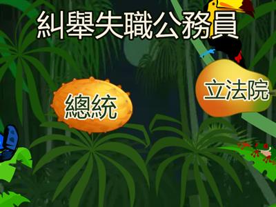 國中社會_B3C4中央政府的職權(初階)